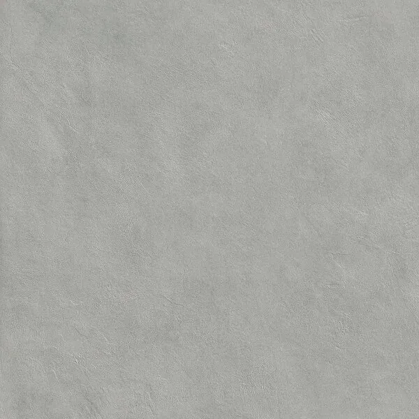 SURFACE SAGE